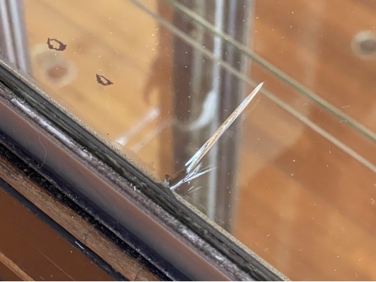 Stunning Chinoiserie Ebonized And Gilt Decorated Vitrine, 20th C. 