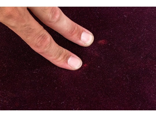 Contemporary Brassy “X” Upholstered Bench 