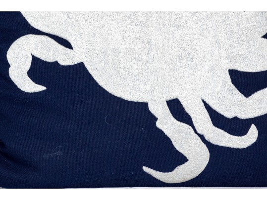 Adorable Pair Of Aquatic Life Accent Pillows 