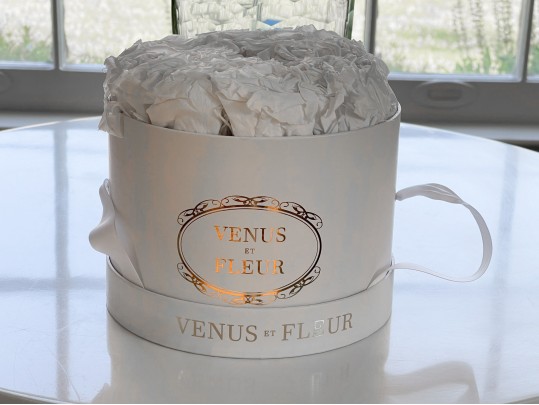 Venus Et Fleur Eternity Roses