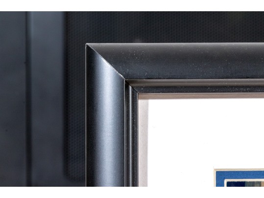 Basketball East V West Championship Game, Autographed By Amar'e Stoudemire 