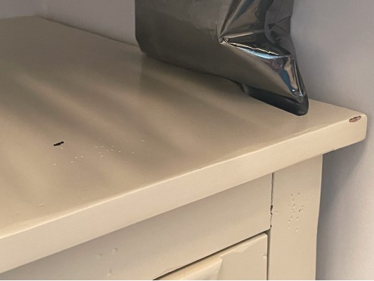 Ultimate Accents Raised Paint Finished Chest 