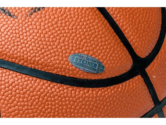 Amar'e Stoudemire Autographed Basketball