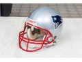 Autographed NE Patriot, Tedy Bruschi Helmet # 54