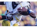 Michigan Wolverine # 16, Denard Robinson Autographed Photo