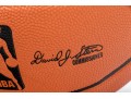 Amar'e Stoudemire Autographed Basketball