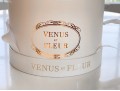 Venus Et Fleur Eternity Roses