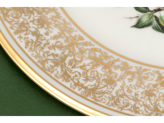 Collection Of 11 Boxed Lenox Boehm Bird Plates Limited Annual Edition With Woodland Wildlife Ones