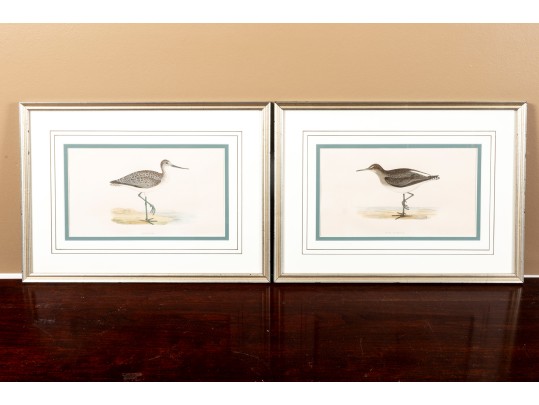 Francis Orpen Morris (Ireland, 1810 - 1884) Sandpiper Colored Engravings