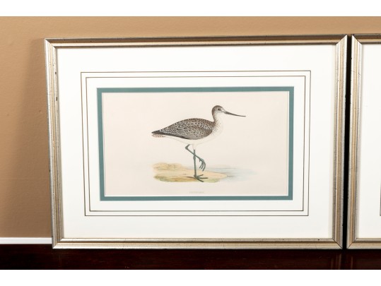 Francis Orpen Morris (Ireland, 1810 - 1884) Sandpiper Colored Engravings