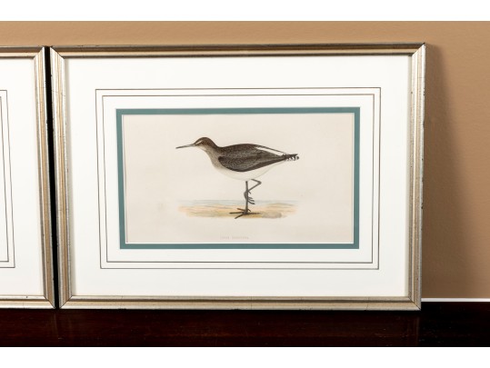 Francis Orpen Morris (Ireland, 1810 - 1884) Sandpiper Colored Engravings