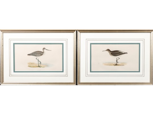 Francis Orpen Morris (Ireland, 1810 - 1884) Sandpiper Colored Engravings