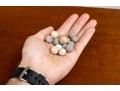 French Antique Clay Stone Marbles