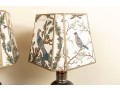 Stylish Metal Table Lamps With Illustrative Shades