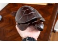Hand-Carved Ironwood Mesquite Turtle