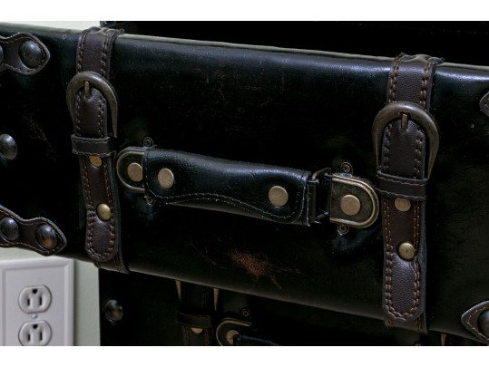 Contemporary Leather Trunk Style Cabinet