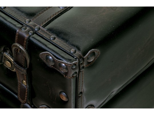 Contemporary Leather Trunk Style Cabinet