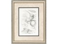 Salvador Dali Don Quixote Etching More Than Likely Collector's Guild