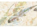 Asian Signed Watercolor On Hand Made Paper, School Of Fish
