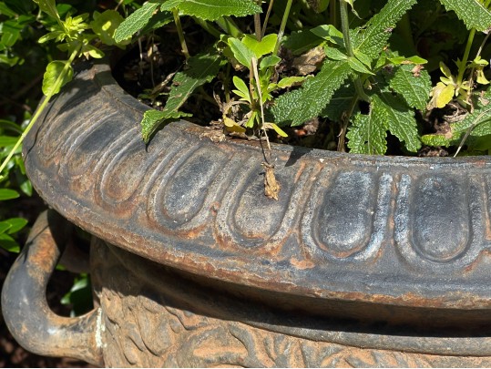 Pair Of Vintage French Neoclassical Garden Urns