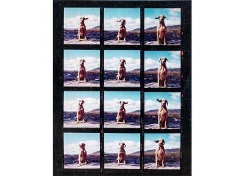Black Rock Galleries