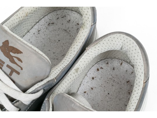 Etro Handsome Grey Leather Mens Sneakers, Size 43, With Box, $450 Retail