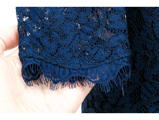 Diane Von Furstenburg Classic Navy Blue Long Sleeve Lace Sheath, Size 4