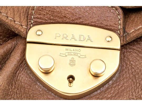 Prada Wonderful Brown Deerskin Hobo Bag