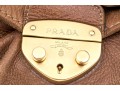 Prada Wonderful Brown Deerskin Hobo Bag