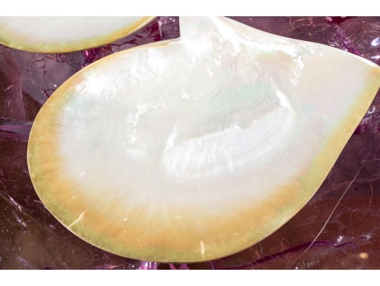 Collection Of 12 Mother Of Pearl Shell Form Caviar Plates