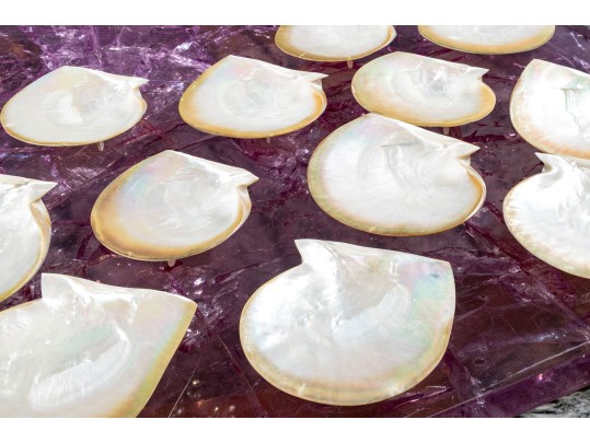 Collection Of 12 Mother Of Pearl Shell Form Caviar Plates