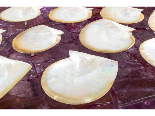 Collection Of 12 Mother Of Pearl Shell Form Caviar Plates