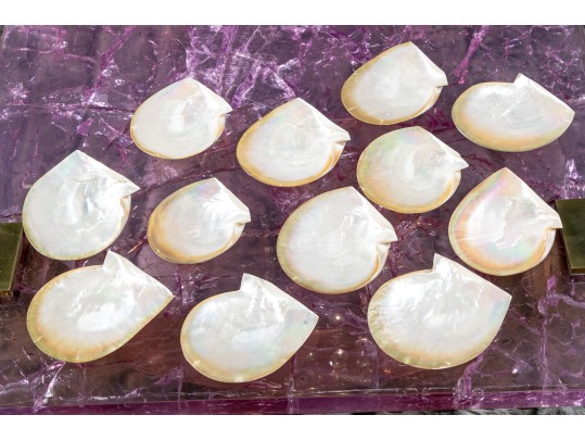 Collection Of 12 Mother Of Pearl Shell Form Caviar Plates