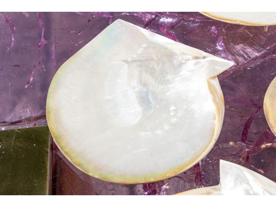 Collection Of 12 Mother Of Pearl Shell Form Caviar Plates