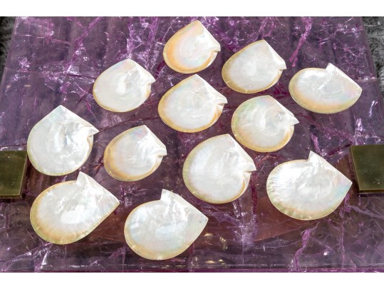 Collection Of 12 Mother Of Pearl Shell Form Caviar Plates