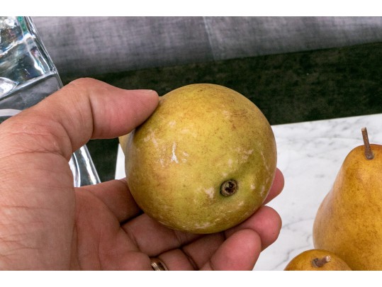 Eclectic Decorative Collection Of Table Top Items