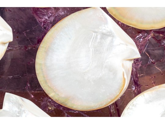 Collection Of 12 Mother Of Pearl Shell Form Caviar Plates