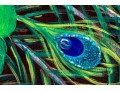 Flashy And Textural Mixed Media On Canvas, Peacock