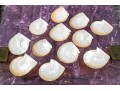 Collection Of 12 Mother Of Pearl Shell Form Caviar Plates