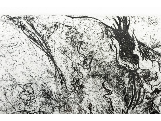 Marsha Heatwole (21st Century) 