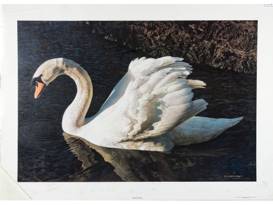 Carl Brenders (Belgian, B. 1937) 