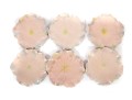 Six Porcelain Lotus Flower Plates