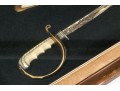 Framed Cavaley Officers' Sabre 