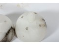 Marbled Stone Egg Capsule Lamps And Bowl