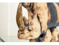 Todd Warner (1945-2022) Ceramic Rhinoscerous 