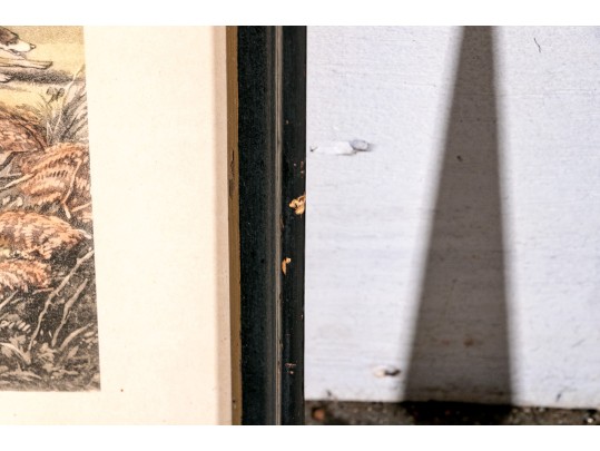 Pair Of Antique English Hunt Prints