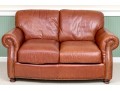 LeatherTrend Upholstered Loveseat Sofa