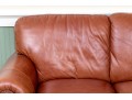 LeatherTrend Upholstered Loveseat Sofa