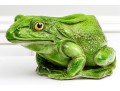 Massive Italian Hand-Painted Terracotta Frog