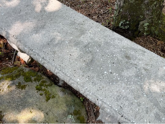 Handsome Concrete Bench